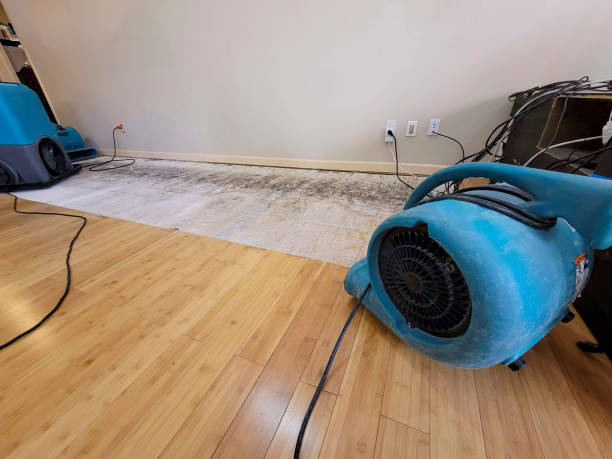 Professional Flood Damage Cleanup technician working in Bruceville, TX